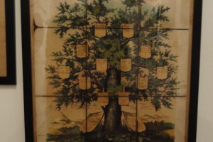 Uproszczone drzewo genealogiczne przedstawicieli szlachty śląskiej