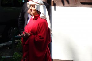 2015 Turniej rycerski w Pszczynie 4 lipca 2015 14 