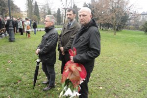 2015 Uroczystości 11 listopada 2015 5 