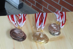 II Bieg Przełajowy Bitwy Pszczyńskiej 2014 28 