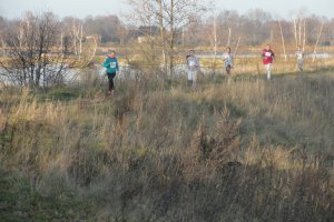 III Bieg Przełajowy Bitwy Pszczyńskiej 2016 59 