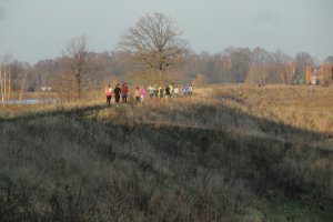 III Bieg Przełajowy Bitwy Pszczyńskiej 2016 71 