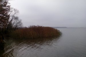 Pamiętamy o zmarłych naszych bliskich 5
